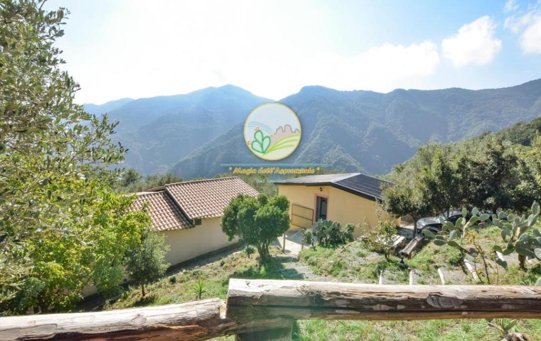 Magia Dell'Aspromonte Bed and Breakfast Ciminà Exteriör bild