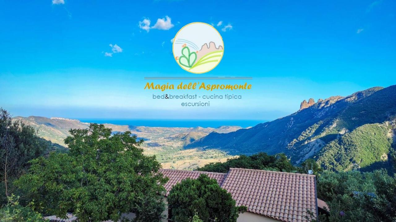 Magia Dell'Aspromonte Bed and Breakfast Ciminà Exteriör bild