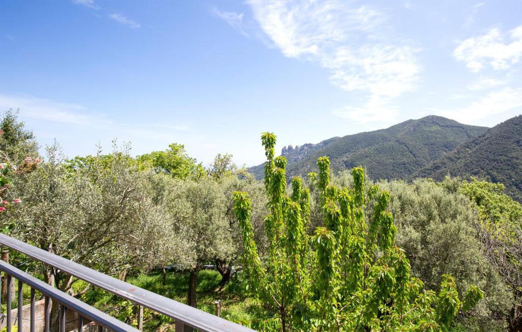 Magia Dell'Aspromonte Bed and Breakfast Ciminà Exteriör bild